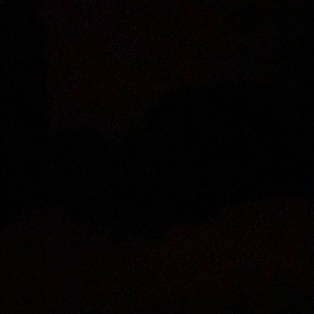 Meet your Posher, Bridget